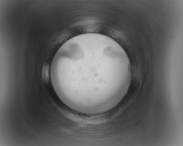 X0000086750028200705041436