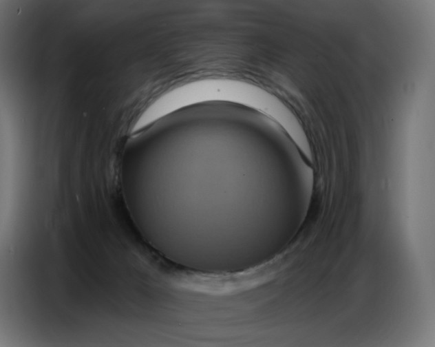 X0000086750029200705041436