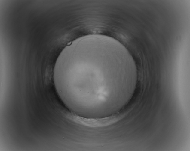 X0000086750030200705041436