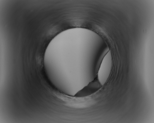 X0000086750031200705041436