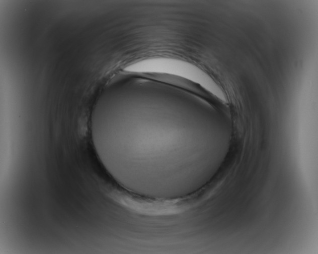 X0000086750032200705041436