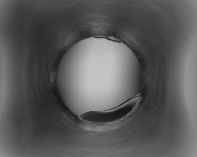 X0000086750033200705041436