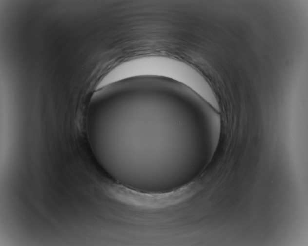 X0000086750035200705041436