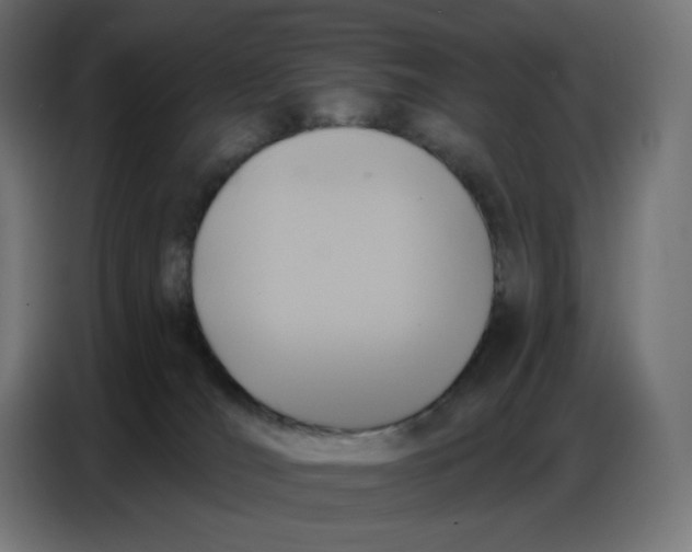 X0000086750036200705041436