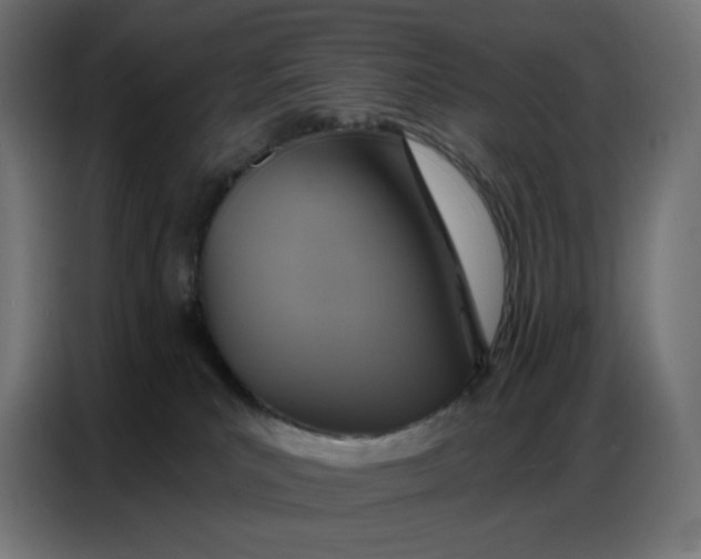 X0000086750039200705041436