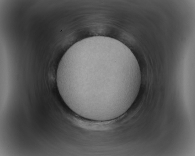 X0000086750040200705041436