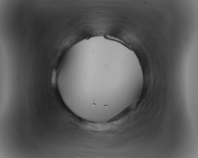 X0000086750041200705041436