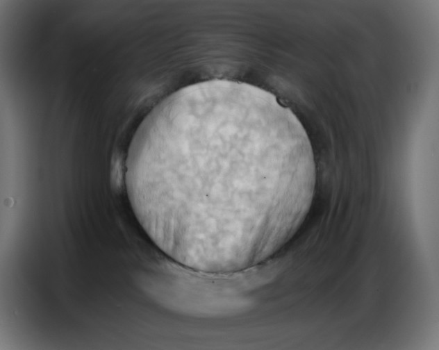 X0000086750042200705041436