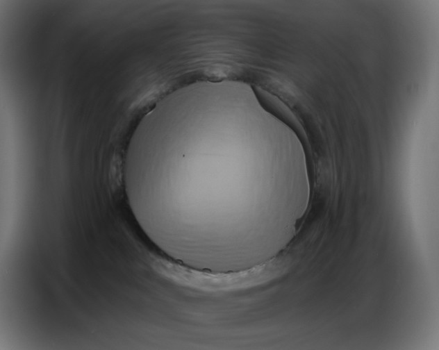 X0000086750043200705041436