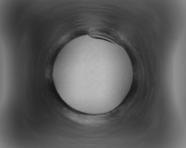 X0000086750044200705041436