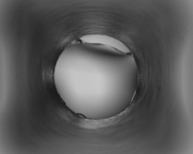 X0000086750045200705041436