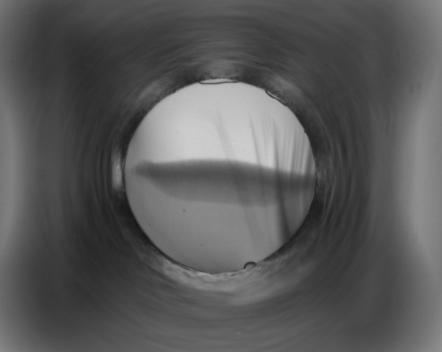 X0000086750046200705041436