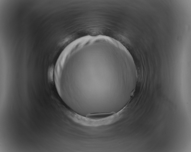 X0000086750047200705041436