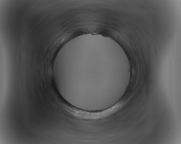 X0000086750048200705041436