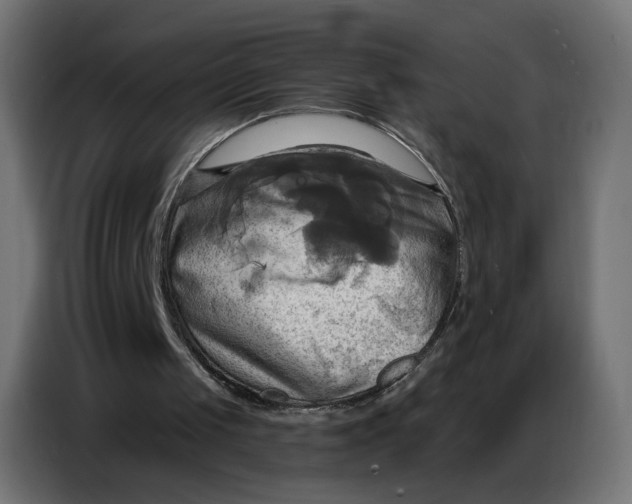 X0000086750049200705041435