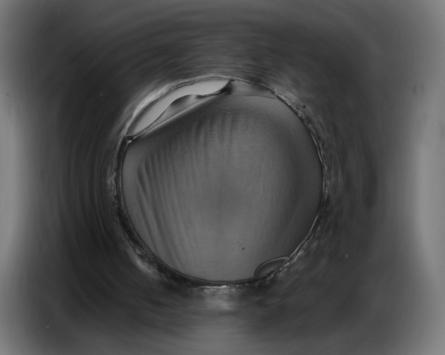 X0000086750050200705041435