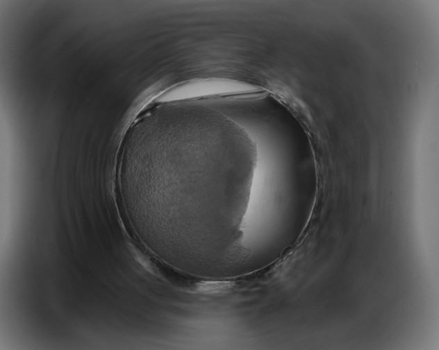 X0000086750051200705041435