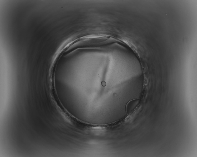 X0000086750053200705041435