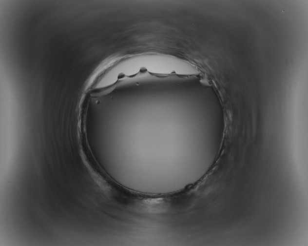 X0000086750054200705041435