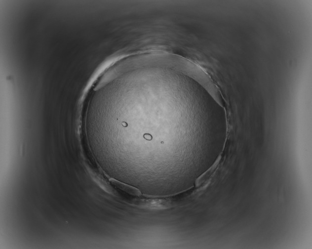 X0000086750056200705041435