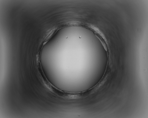 X0000086750057200705041435