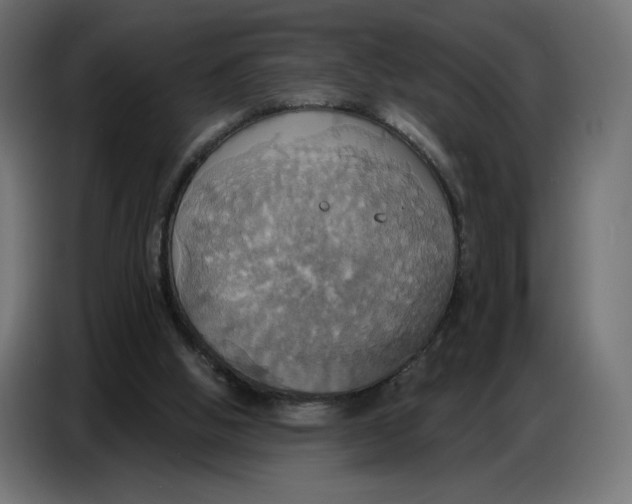 X0000086750058200705041435