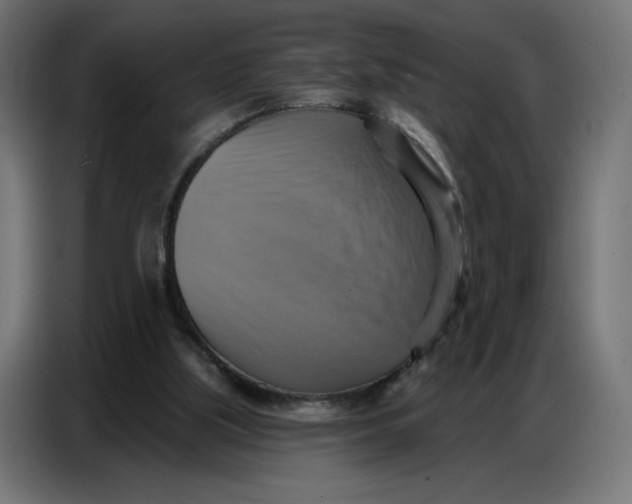 X0000086750059200705041435