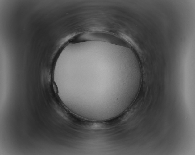 X0000086750060200705041435