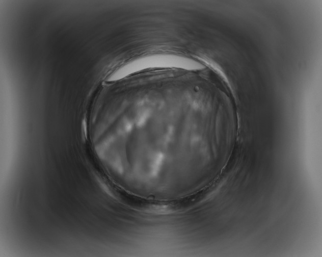 X0000086750061200705041435