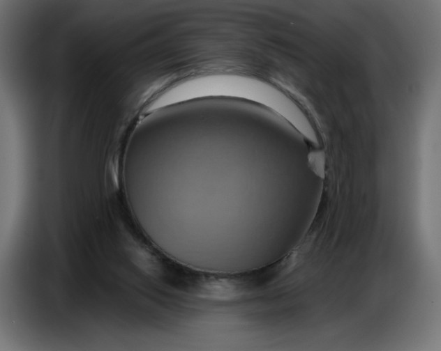 X0000086750062200705041435