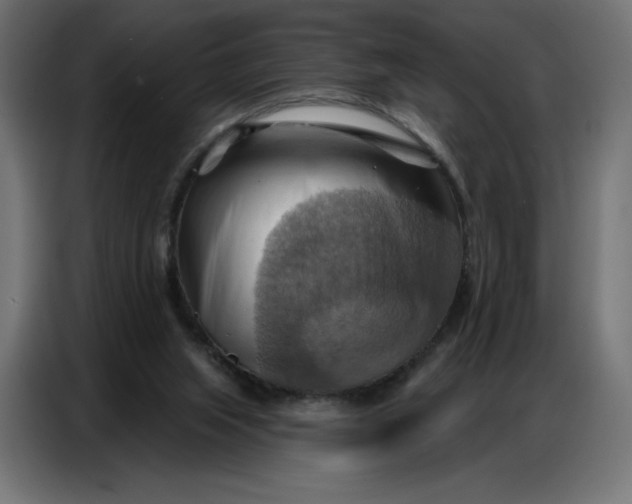 X0000086750063200705041435