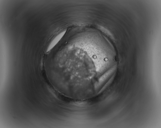 X0000086750065200705041435