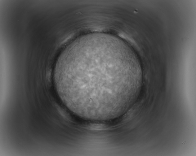 X0000086750066200705041435