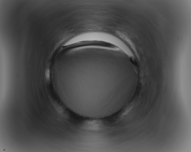 X0000086750067200705041436