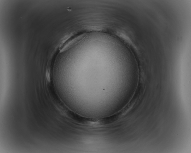 X0000086750068200705041436