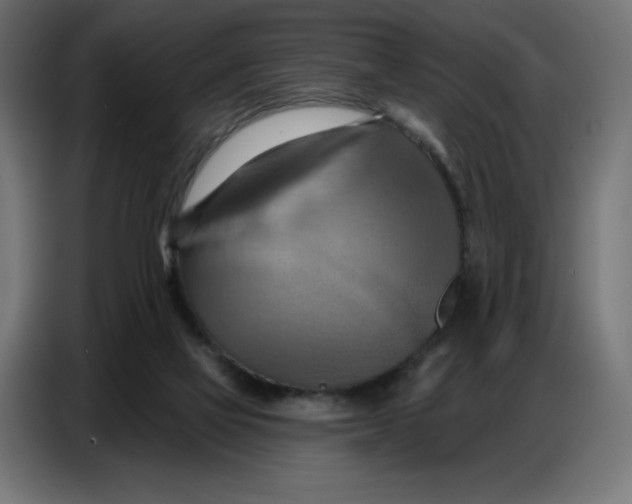 X0000086750069200705041436