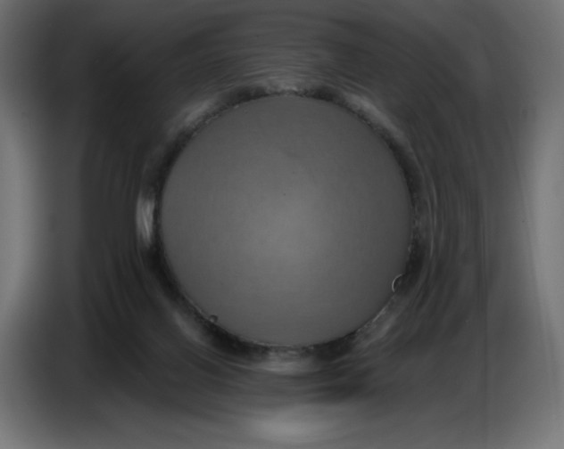 X0000086750070200705041436