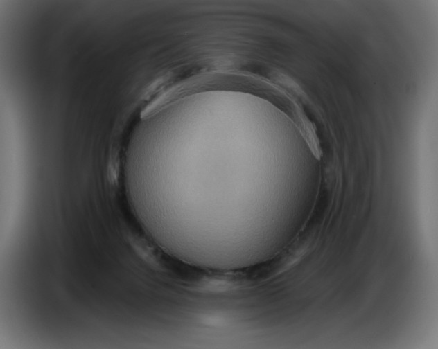 X0000086750072200705041436