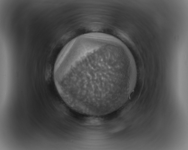 X0000086750073200705041436