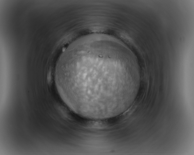 X0000086750074200705041436