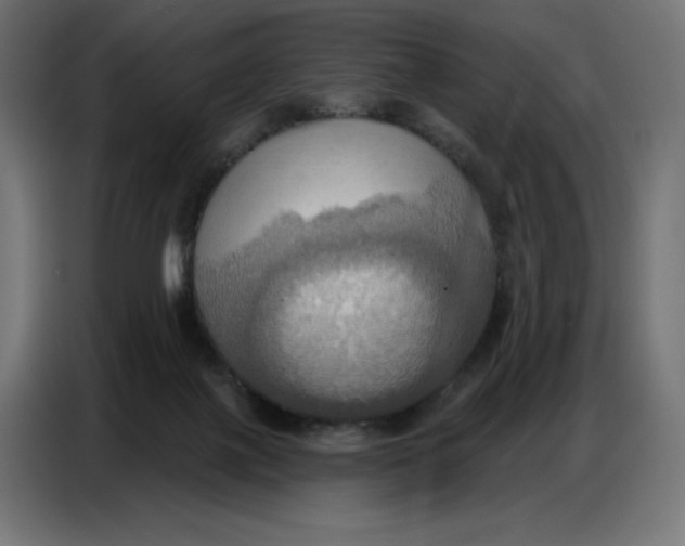 X0000086750075200705041436