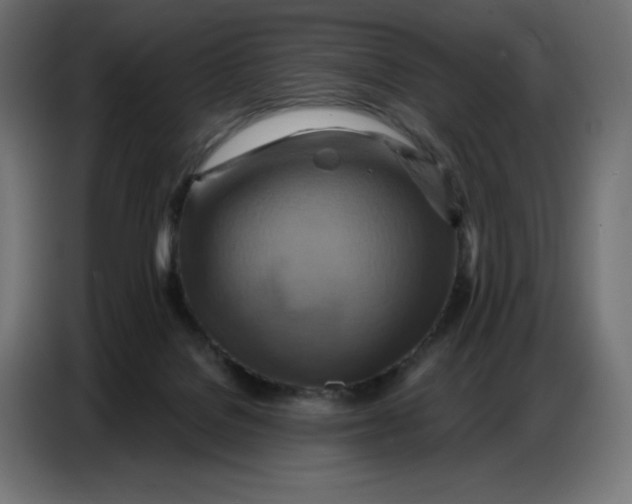 X0000086750076200705041436