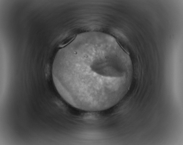 X0000086750077200705041436