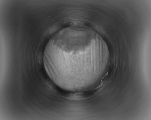 X0000086750078200705041436