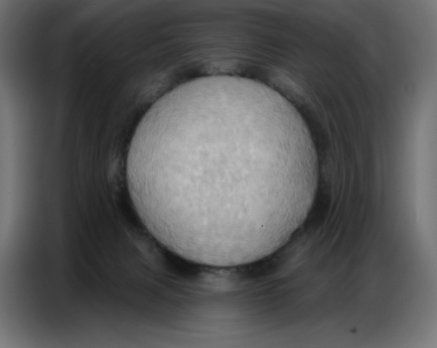 X0000086750079200705041436