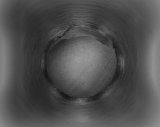 X0000086750080200705041436