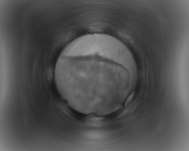 X0000086750081200705041436