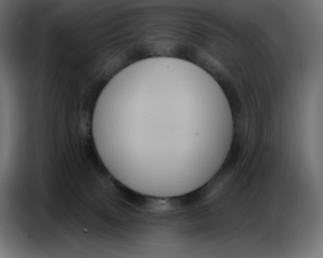 X0000086750083200705041436