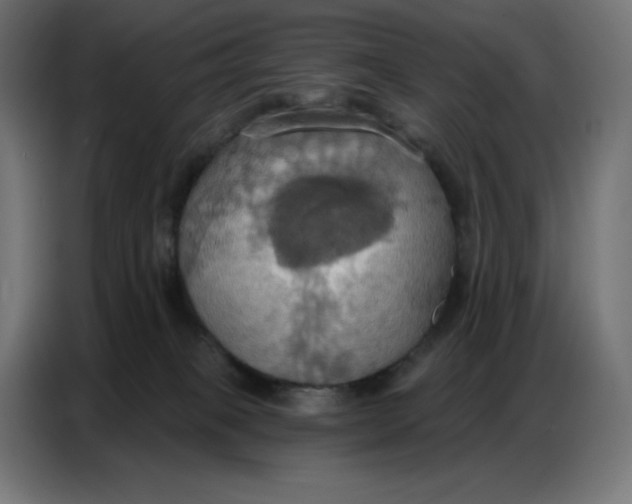 X0000086750085200705041436