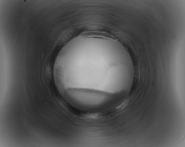 X0000086750086200705041436